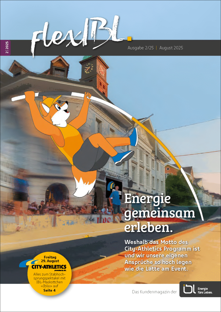 ibl-flexibl-ausgabe-2-2025-cover