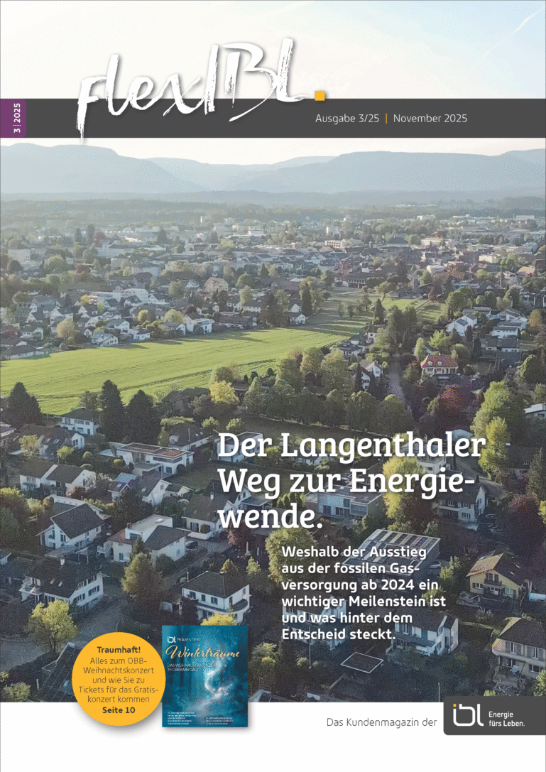 ibl-flexibl-ausgabe-3-2025-cover