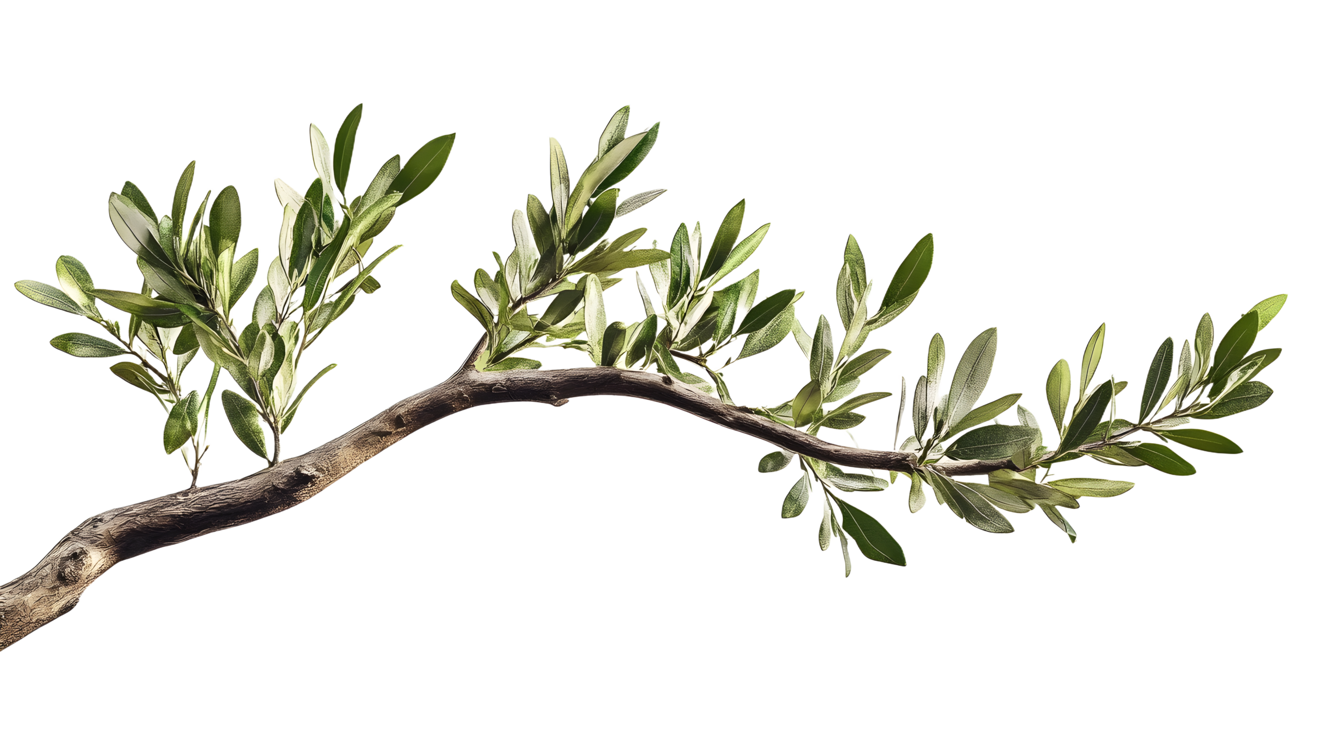 adobestock-1193715438